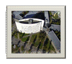 image027.gif